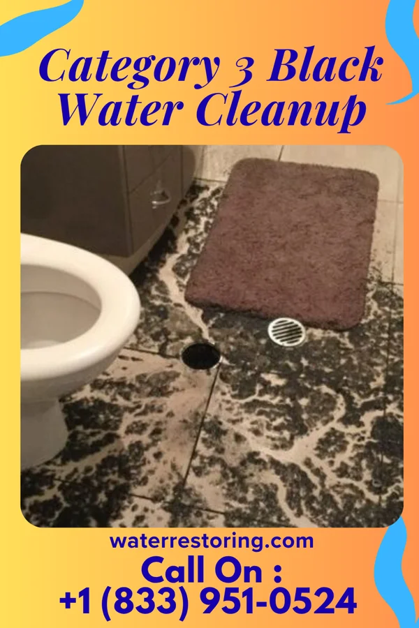 Category 3 Black Water Cleanup in Rushville, IL